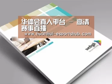 项目名称九