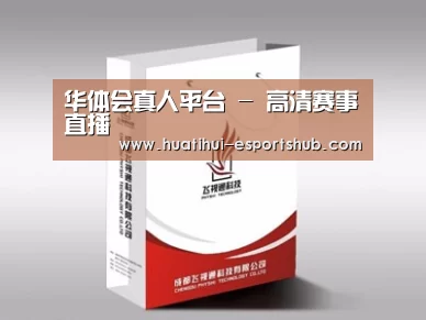 项目名称十三