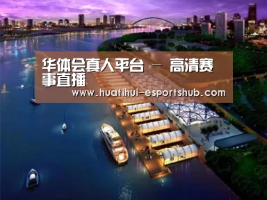 案例展示八