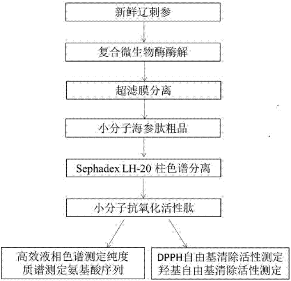 华体会APP下载|科瓦奇保守换人遭惩罚 板凳深度成拜仁最大短板(图2) 华体会真人平台
