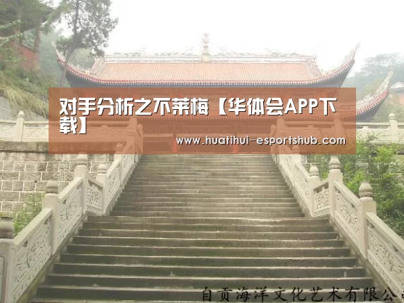 对手分析之不莱梅【华体会APP下载】(图2) 华体会真人平台