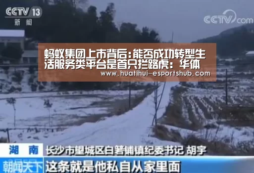 蚂蚁集团上市背后:能否成功转型生活服务类平台是首只拦路虎:华体会APP下载(图2) 华体会真人平台